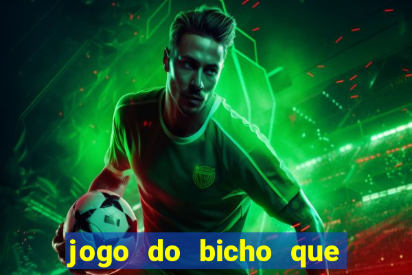 jogo do bicho que paga no pix